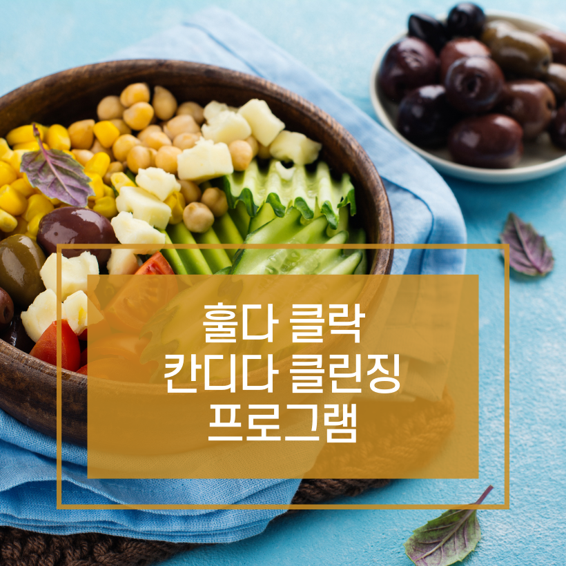 훌다 클락 칸디다 클린징 프로그램