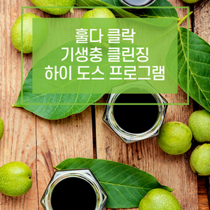 훌다 클락 파라 클린즈 하이 도스 프로그램