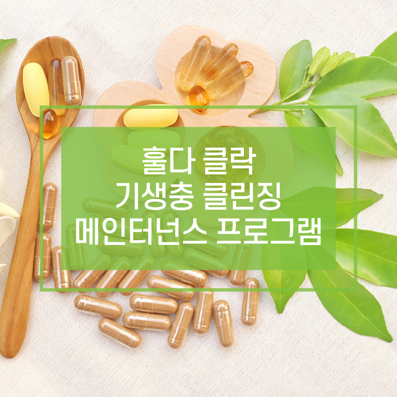 훌다 클락 기생충 메인터넌스 프로그램