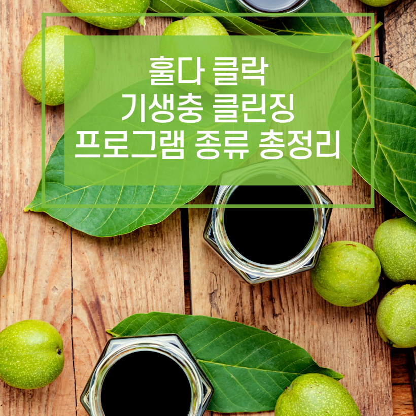 훌다 클락 파라 클린즈 (구충) 총 정리편